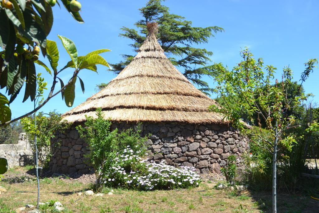 B&B Antica Botte Сассарі Екстер'єр фото